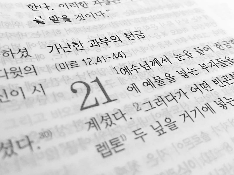 Language Translation Guide